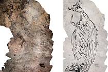 Podle vědců je nalezená klokanice nejstarším australským uměním.