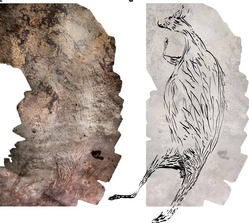 Podle vědců je nalezená klokanice nejstarším australským uměním.