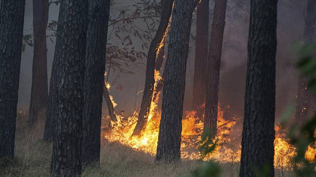 Lesní požár - ilustrační foto.