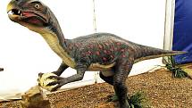 Oviraptor s vejcem