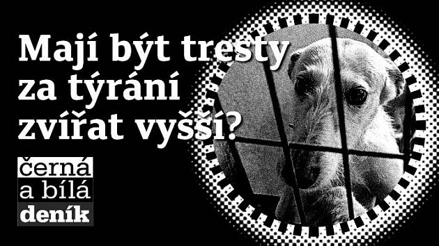 ČERNÁ A BÍLÁ: Mají být tresty za týrání zvířat vyšší? - Žatecký a lounský  deník