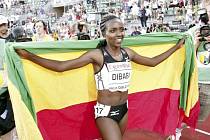 POKOŘILA KRAJANKU. Lidé vstávali a poslední dvě kola ve stoje aplaudovali. Tiruneš Dibabaová z Etiopie pokořila na Zlaté ligy v Oslo světový rekord na 5000 metrů.