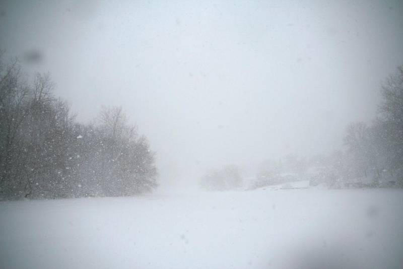 Prudký vítr, husté sněžení a nulová viditelnost. Tak to vypadá, když řádí sněhová bouře. Na snímku je bouře, která udeřila v roce 2007 v Minnesotě v USA.