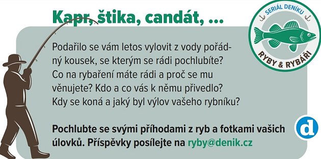 Výlov v Novém Veselí: z rybníka, kde jezdil Zeman na člunu, vytáhli obřího sumce