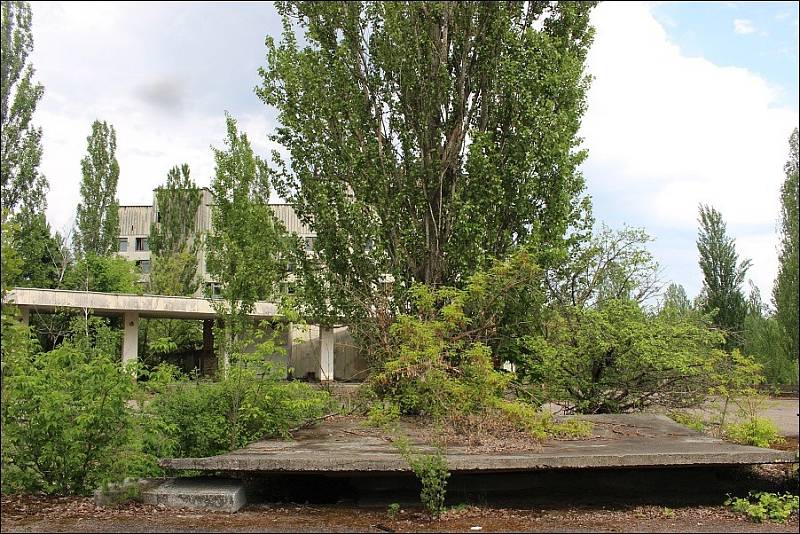 Od černobylské havárie uplynulo 33 let. V uzavřené zóně se dnes daří fauně, budovy postupně pohltila příroda