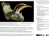 Býložravec, který měl téměř pět metrů na délku, dostal název Nasutoceratops titusi. 