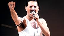 Zpěvák kapely Queen Freddie Mercury.