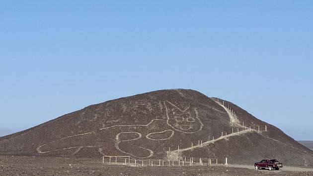 Obrazec kočky na planině Nazca.