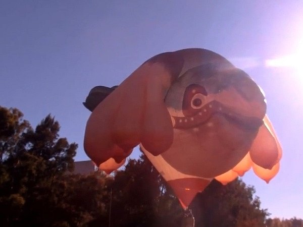 Horkovzdušný balón nazývaný Skywhale přeletěl australské hlavní město Canberra