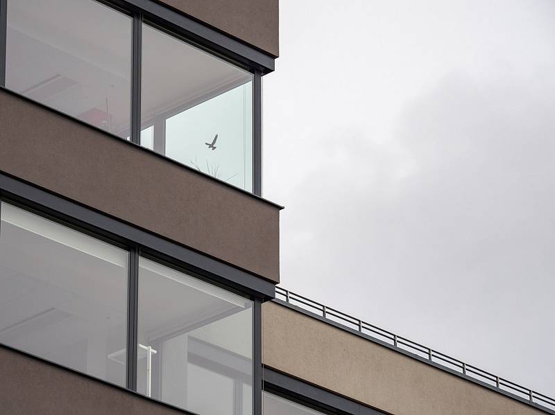 Prosklený roh výškové budovy je naprosto průhledný a rychle letící pták nemá šanci rozpoznat překážku. Umístěná silueta dravce není řešení. Pták ji obletí a stejně narazí do skla