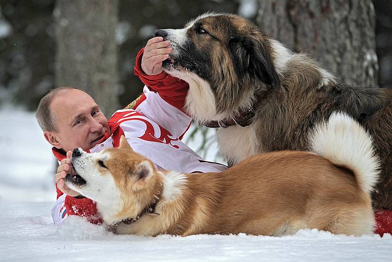 Vladimír Putin a jeho láska ke psům.