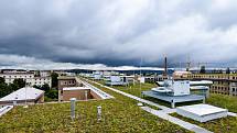 Zelené střechy v Plzni - Paluba Hamburk, 20. ZŠ a Fakultní nemocnice