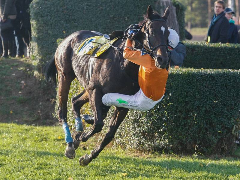 Velká pardubická 2015: Sertaš Ferhanov a jeho snaha udržet se v sedle