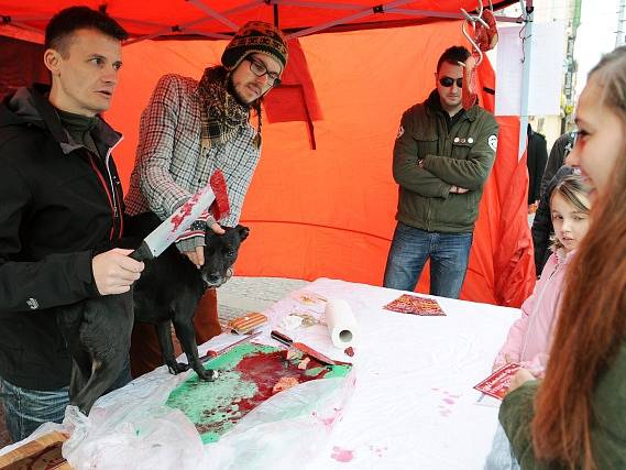 Proti tradičnímu vánočnímu prodeji a zabíjení kaprů v ulicích uspořádali 10. prosince v Praze aktivisté z hnutí 269 protestní happening nazvaný Prodej vánočních psů.