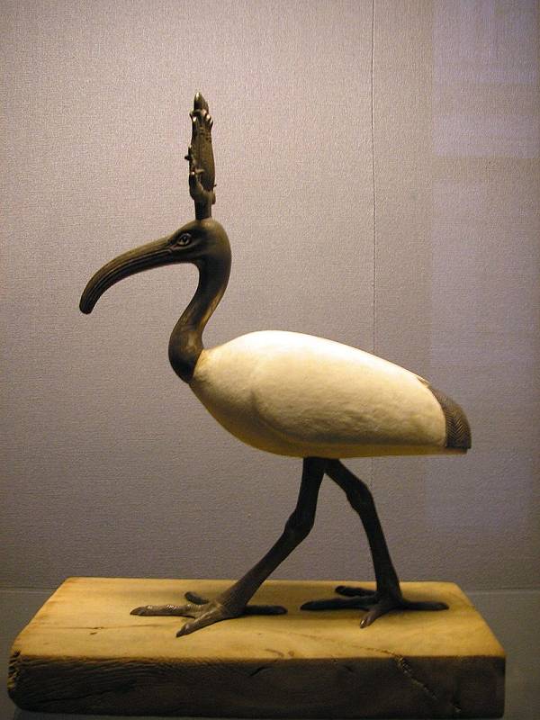Staroegyptská soška ibise posvátného v Uměleckohistorickém muzeu ve Vídni