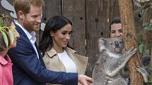 Princ Harry a vévodkyně Meghan na návštěvě v zoologické zahradě.