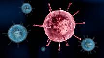 Nyní je v Česku proti chřipce naočkováno pět až sedm procent lidí