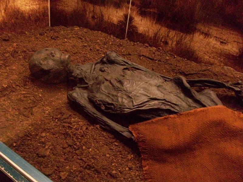 Na hradě Gottorf v německém Šlesviku lze shlédnout přirozeně mumifikované tělo tzv. muže z Rendswührenu. I v tomto případě jde o bahenní mumii