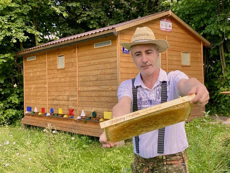 Včely potřebují celoroční pozornost a péči, říká Vladimír Brádler