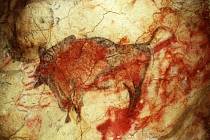 Světoznámé malby a rytiny z mladšího paleolitu ve španělské jeskyni Altamira. 