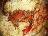Světoznámé malby a rytiny z mladšího paleolitu ve španělské jeskyni Altamira. 