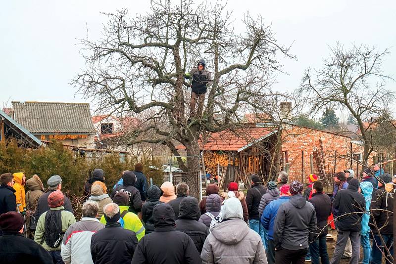 Práce Dominika Grohmanna vždy vzbuzuje pozornost.