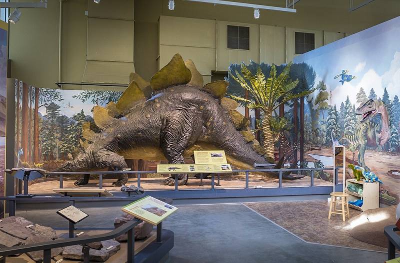 Model stegosaura z Muzea Země v New Yorku
