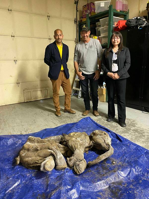 Nun cho ga, mumifikované mládě mamuta srstnatého, s náčelnicí Robertou Joseph, ministrem Ranj Pillai a Brianem McCaughanem.