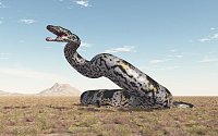 Obří had - Ilustrační foto