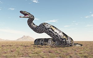 Obří had - Ilustrační foto