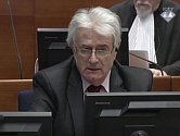Bývalý politický vůdce bosenských Srbů Radovan Karadžić.