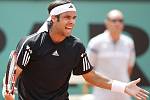 Fernando Gonzalez gestikuluje v semifináel French Open proti Robinu Söderlingovi.