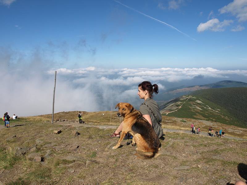 Jitka má oblíbené pobyty na horách, na túrách s rodinou či přáteli ji doprovází i její pes