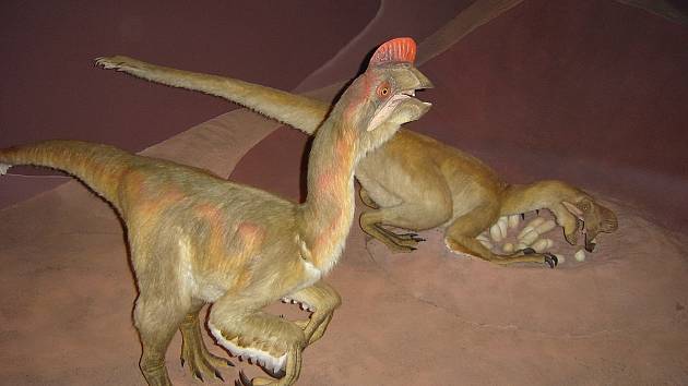 Umělecká rekonstrukce dvojice oviraptorů u jejich hnízda s vejci, Přírodovědné muzeum v Londýně
