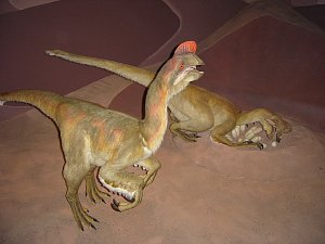 Umělecká rekonstrukce dvojice oviraptorů u jejich hnízda s vejci, Přírodovědné muzeum v Londýně