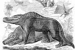 Původně odborníci popisovali Megalosaura jako tvora, který se pohyboval po čtyřech. Představa byla později vyvrácená.