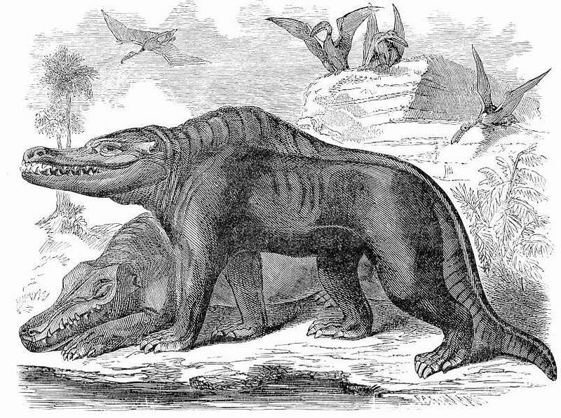 Původně odborníci popisovali Megalosaura jako tvora, který se pohyboval po čtyřech. Představa byla později vyvrácená.