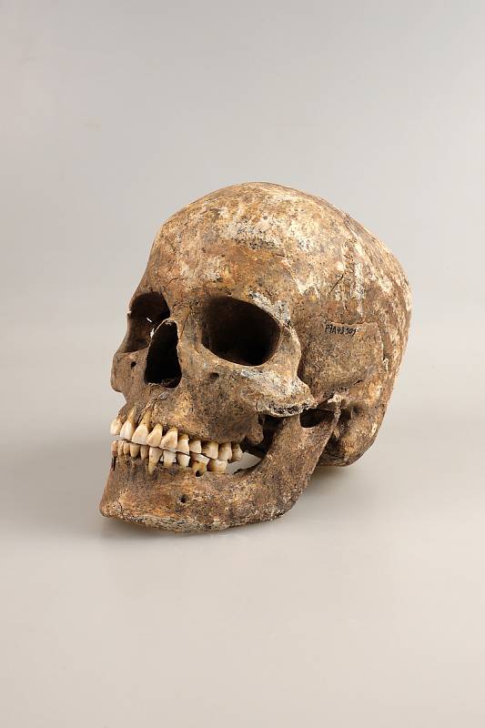 Přesná rekonstrukce byla možná díky téměř kompletně dochované lebce pohřbené ženy a také díky provedené analýze archaické DNA, získané z kosti pohřbené ženy.