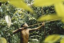 Domorodých kmenů v Amazonii ubývá. Ilustrační foto