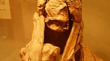 Rozšířená mumifikace těl zesnulých je jednou z pozoruhodných podobností mezi Peru a Egyptem