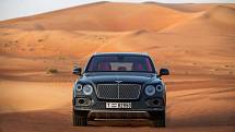 Bentley Bentayga Falconry.