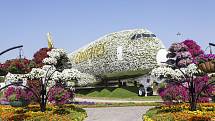 Miracle Garden v Dubaji se svým květinovým letadlem zapsala do Guinessovy knihy rekordů.