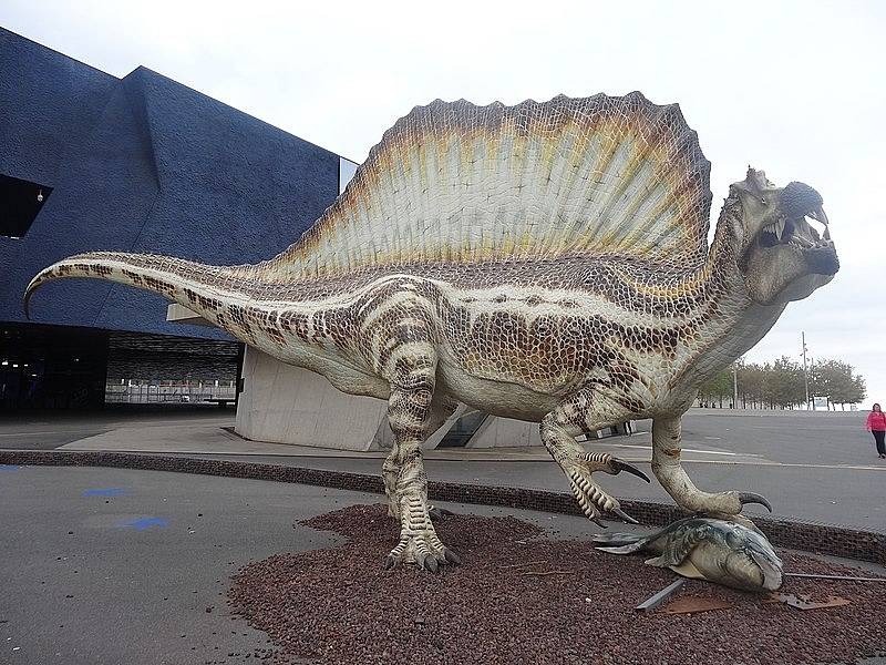 Socha spinosaura u muzea v Barceloně. Socha byla vytvořena podle kostry, nalezené v roce 2014. Na základě této kostry vědci poprvé usoudili, že spinosaurus trávil většinu života ve vodě.