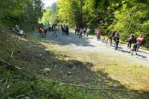 Lesní cesta u jezera Lac d’Annecy. Místo, kde vrah v roce 2012 zabil čtyři lidi.