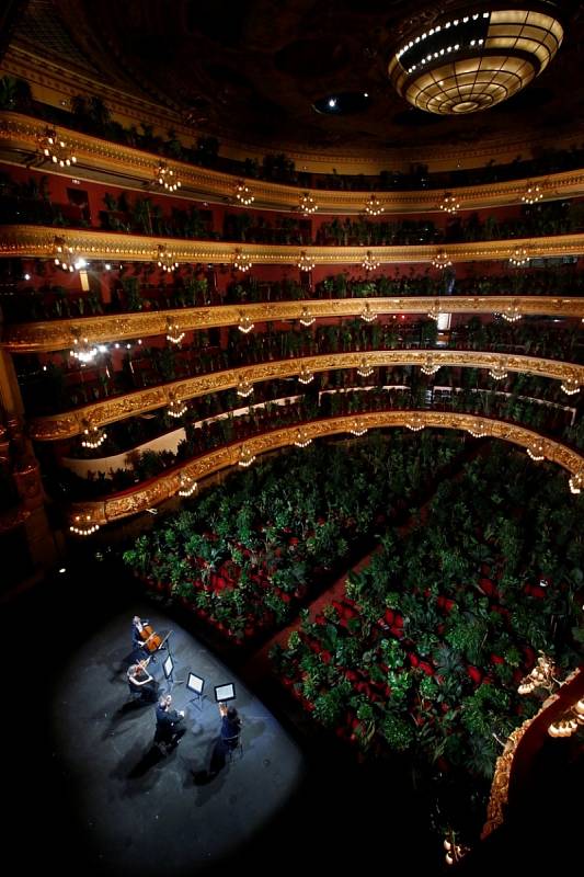 Barcelonská opera vyměnila diváky za květiny. Zahrála jim Pucciniho koncert s názvem Chryzantéma