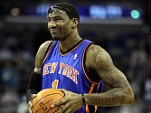Basketbalista New York Knicks Amare Stoudemire.
