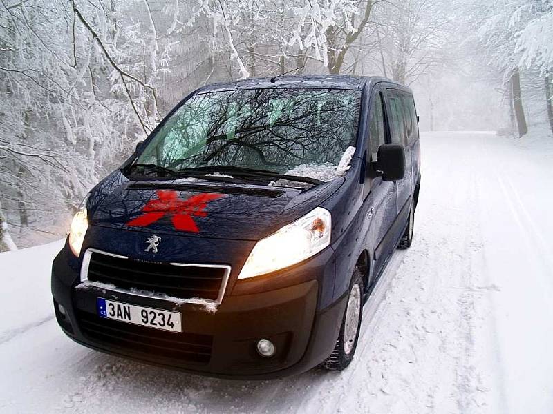 Peugeot Expert Tepee 4x4 Dangel.