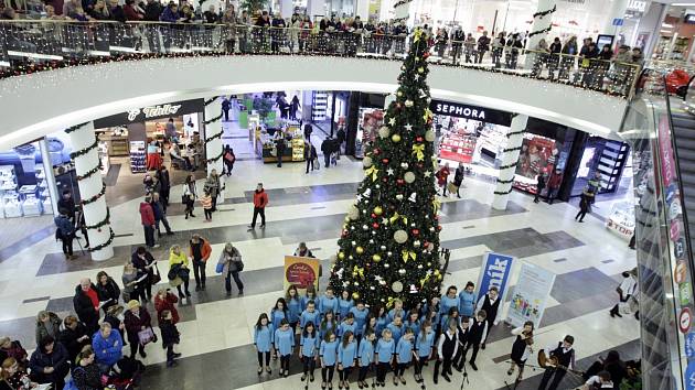 Dva z pěti obyvatel Česka nakupují dárky v listopadu, průběžně během roku pořizuje vánoční dárky zhruba každý pátý. Vyplývá to z nového průzkumu. Ilustrační snímek