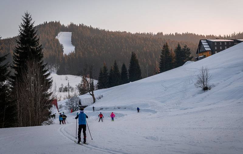 Které sporty budou mít prioritu? Česko stojí před důležitým rozhodnutím