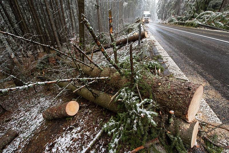 Kvůli popadaným stromům byla 4. února 2020 v obou směrech uzavřená frekventovaná silnice I/4 mezi Vimperkem a Strážným na Prachaticku. Stromy poblíž Klášterce polámal noční vítr. Na snímku je situace po odstranění spadaných stromů.